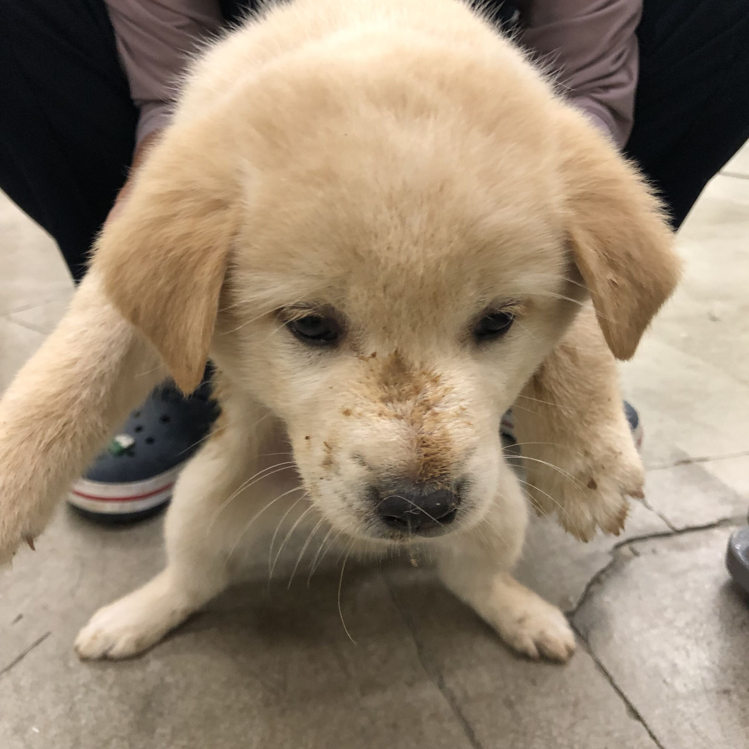 디디동물병원_428357202501680